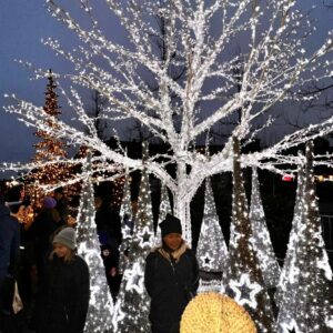 Juleeventyr på Kongens Nytorv / Skandinaviens julehovedstad